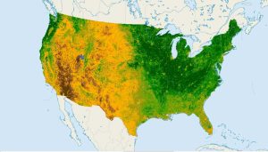 NDVI United States