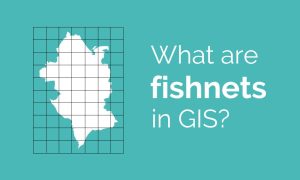Fishnets GIS Feature